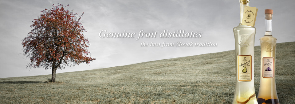 prave ovocne destilaty
